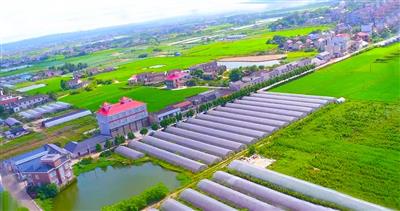鄒城嶧山農業科技示范園建設運營項目